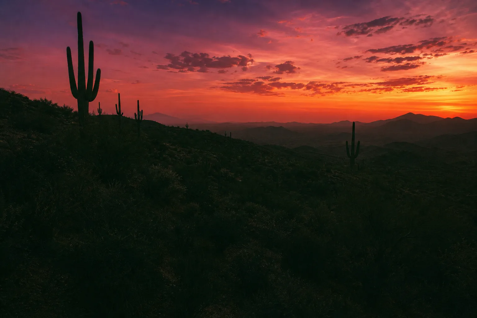 Sonoran Desert sunset over Scottsdale with saguaro silhouettes